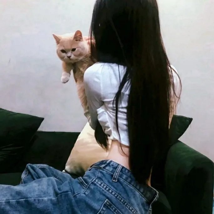 雾的子午线